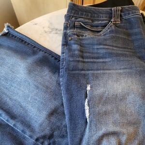 Democracy Classic Blue Denim Jeans